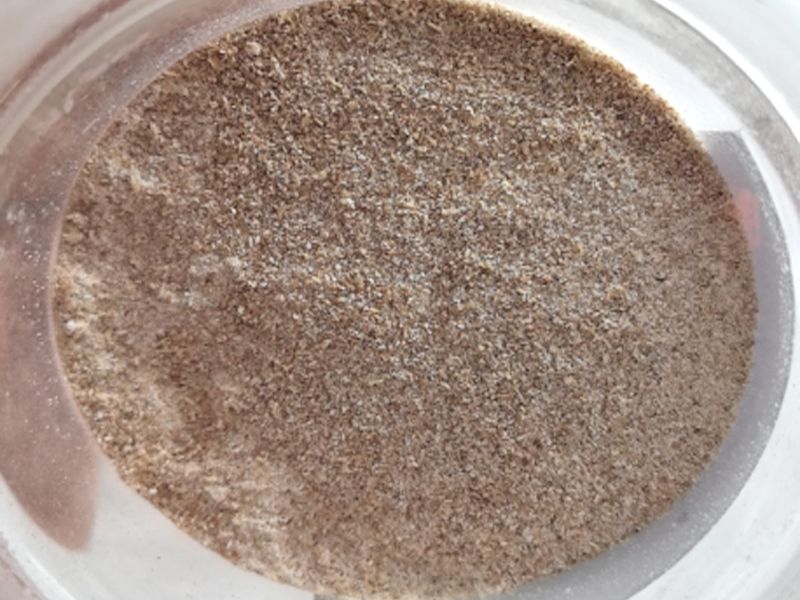 反硝化細(xì)菌